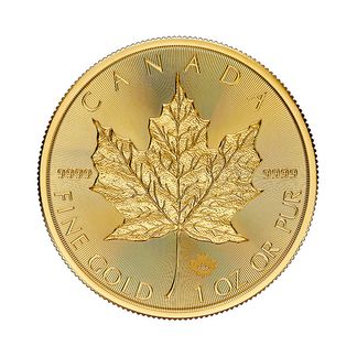 1 oz Maple Leaf Gullmynt 2025