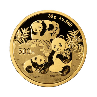 30G Chinese Panda Gullmynt 2025