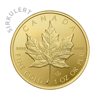 1 oz Sirkulert Maple Leaf Gullmynt